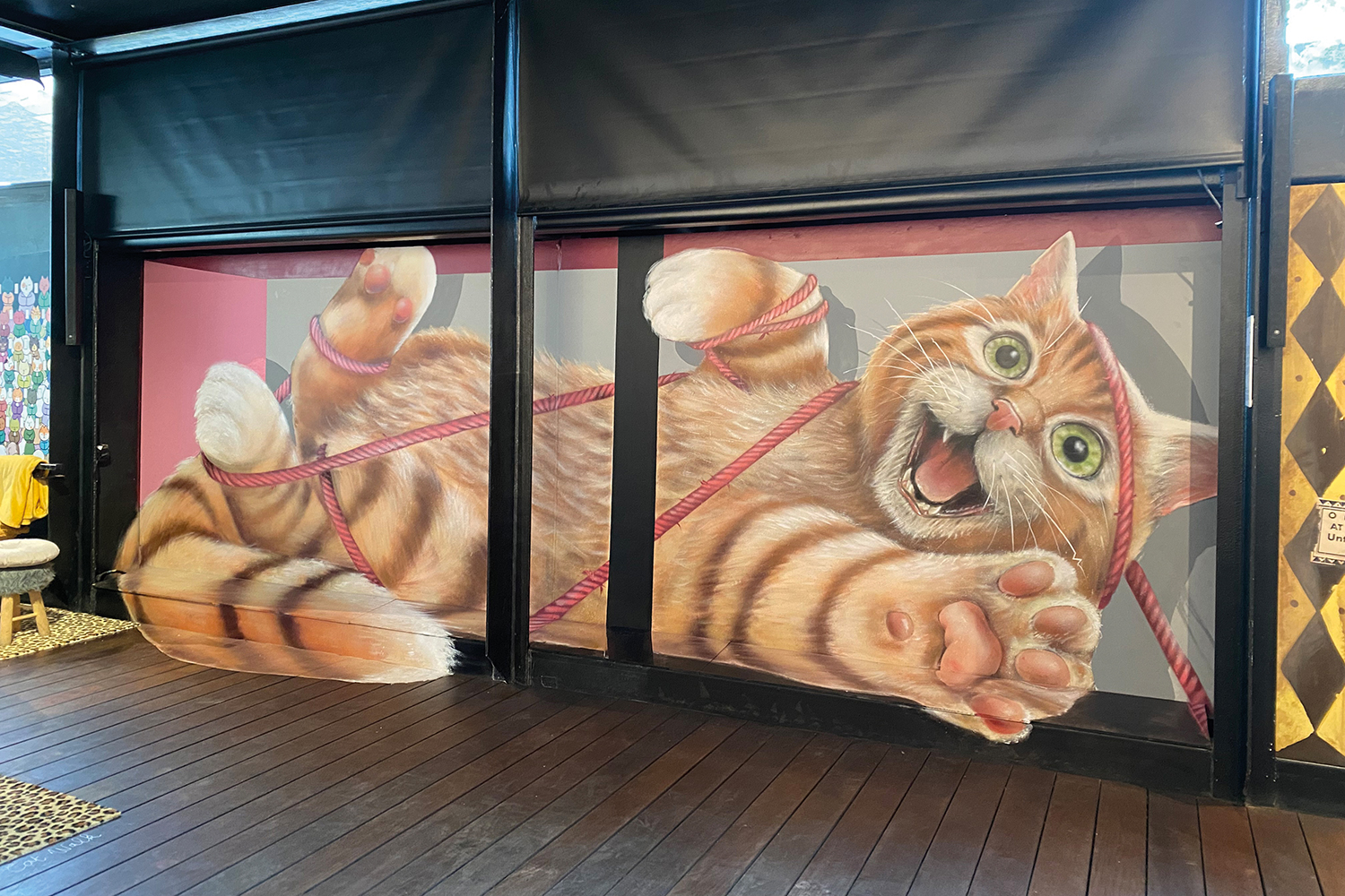 « Chacun cherche son chat »